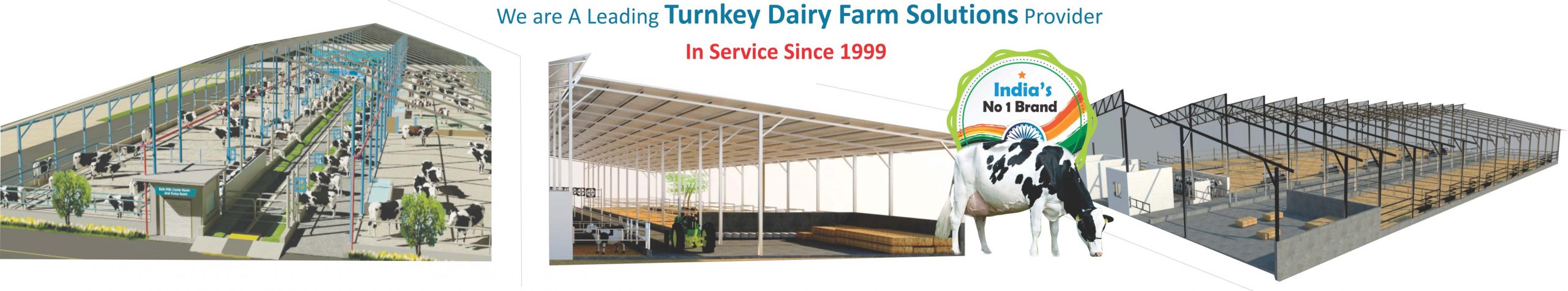 Vansun Turnkey Dairy Farm Project