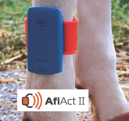 AfiAct II Leg Pedometer