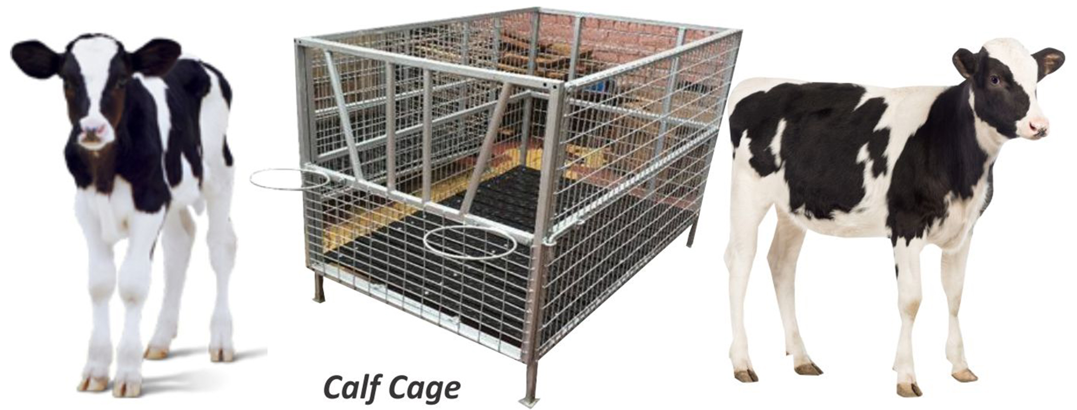 Vansun Calf Cage