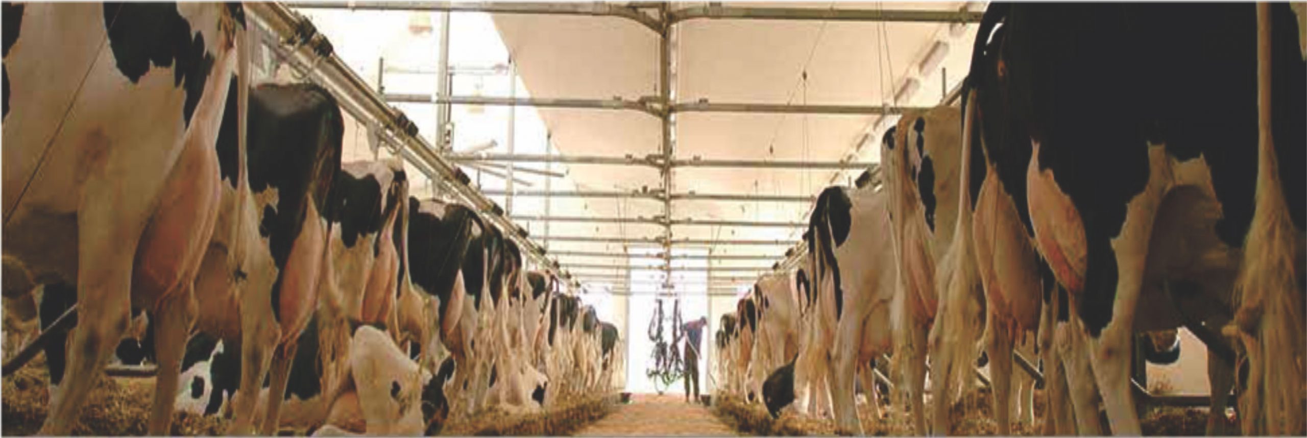 Vansun Line Milker Parlor