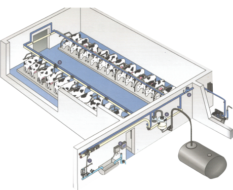 Vansun Line Milking