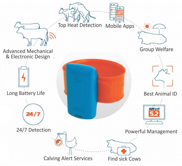 AfiAct II Leg Pedometer Cow Heat Detection Device Vansun Milking