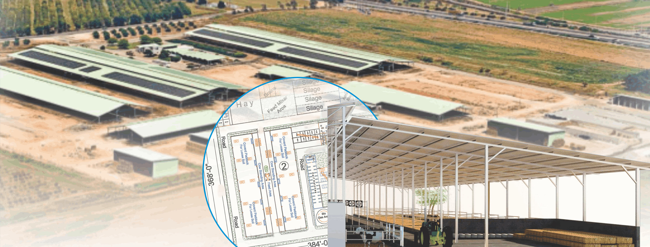 Turnkey Dairy Farm Project