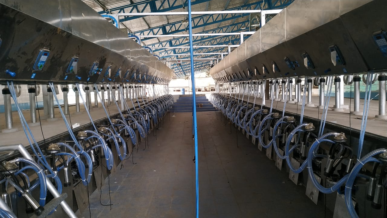 Parallel Milking Parlor