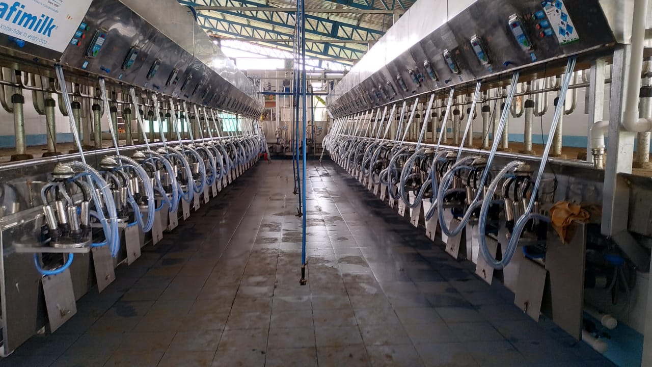Vansun Parallel Parlor 2X24 Image