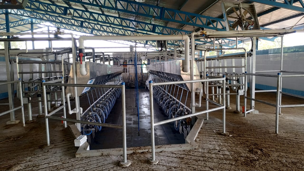 Parallel Milking Parlor