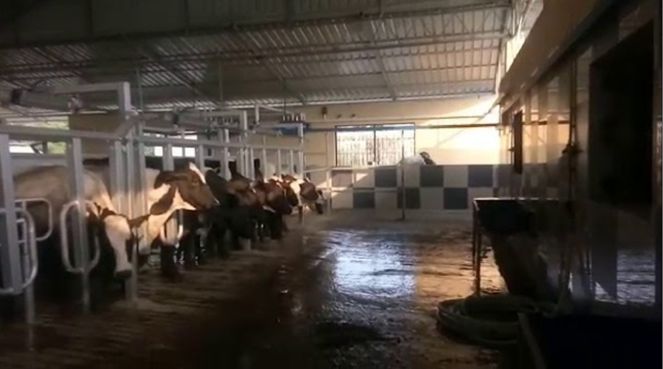 Diya Dairy Setup Image