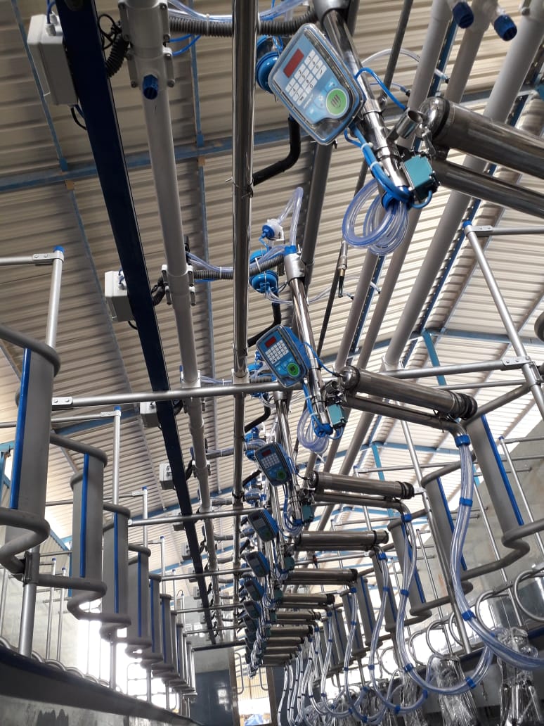 Vansun swingover Parallel Milking Parlor