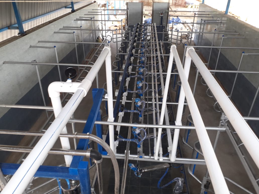 Parallel Milking Parlor View