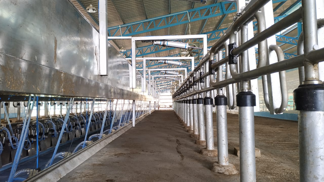 Vansun Milking Parallel Parlor