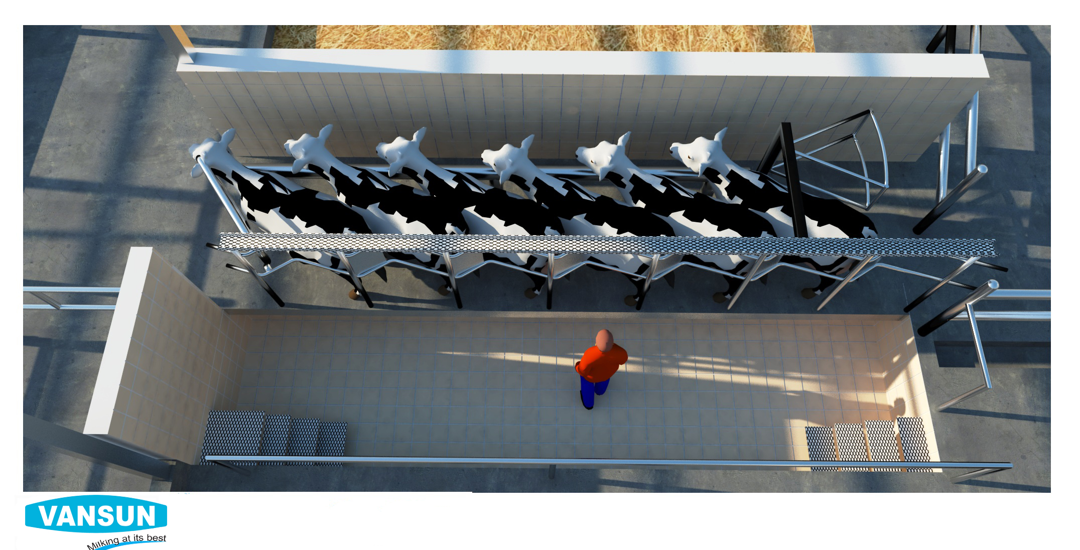 Turnkey Dairy Project