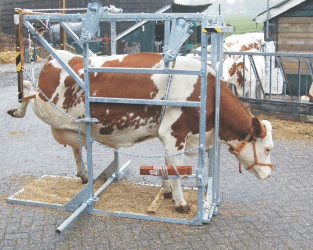 Hoof Trimming Machine in India